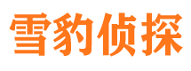 平遥市侦探公司